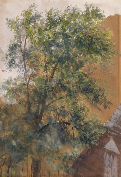 Tree Study by Adolph Menzel