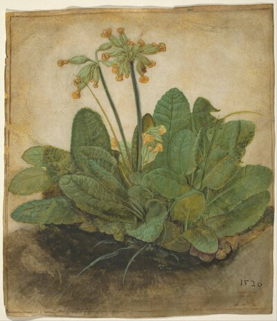 Nemesis (The Great Fortune) by Albrecht Dürer
