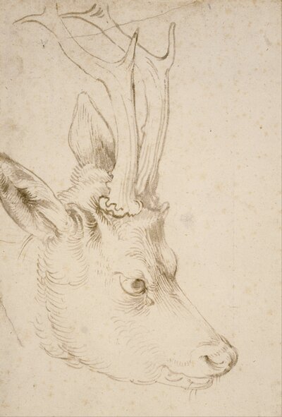 The Little Fortune by Albrecht Dürer