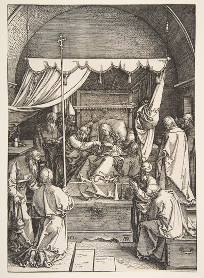 Wing of a Blue Roller by Albrecht Dürer