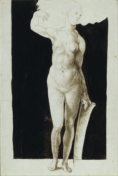 Study of Drapery by Albrecht Dürer