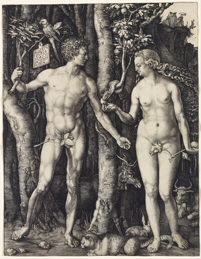 Melencolia I by Albrecht Dürer