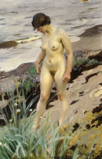 Portrait of a Gentleman (1899) by Anders Zorn