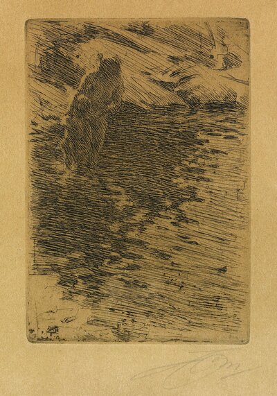 Portrait of a Lady in Profile by Anders Zorn