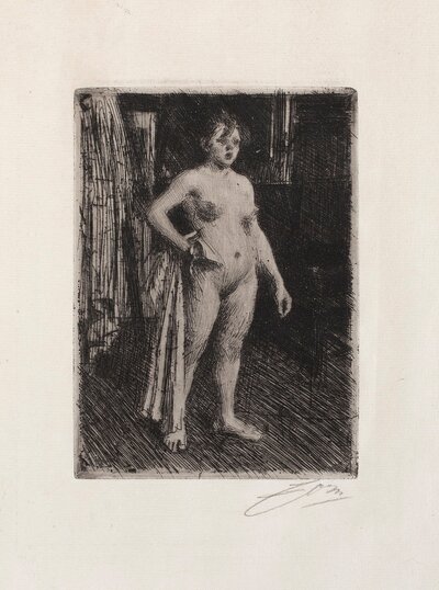 Realism 203 by Anders Zorn