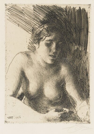 Realism 243 by Anders Zorn