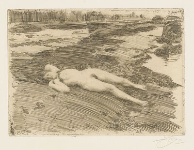 Realism 247 by Anders Zorn