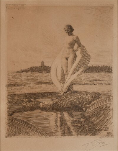 Realism 61 by Anders Zorn