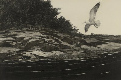 Gull's Nest by Andrew Wyeth