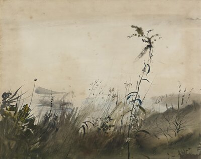 Little Caldwell's Island by Andrew Wyeth