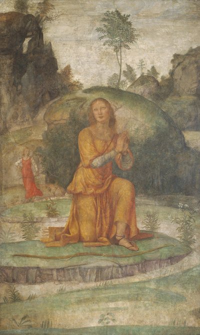 Head of Christ (Salvator Mundi Type) (Testa di Cristo (tipo Salvator Mundi)) by Leonardo da Vinci
