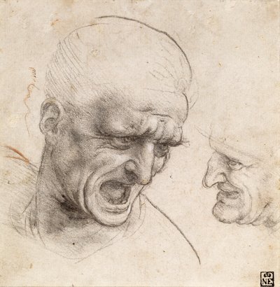 Two Grotesque Heads (Due teste grottesche) by Leonardo da Vinci