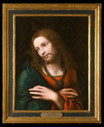 Head of a Bearded Man (Prophet Type) (Testa di uomo barbuto) by Leonardo da Vinci