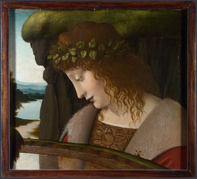 Study of Drapery (Studio di drappo) by Leonardo da Vinci