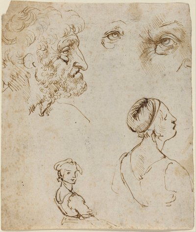 Study of a Horse (Sforza Monument) (Studio di cavallo (monumento Sforza)) by Leonardo da Vinci