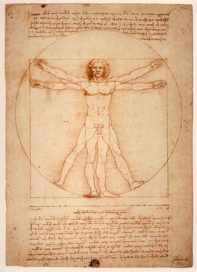 Study of a Seated Figure (Virgin and St. Anne) (Studio di figura seduta) by Leonardo da Vinci