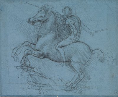 Portrait of a Young Man (Boltraffio Type) (Ritratto di giovane (tipo Boltraffio)) by Leonardo da Vinci