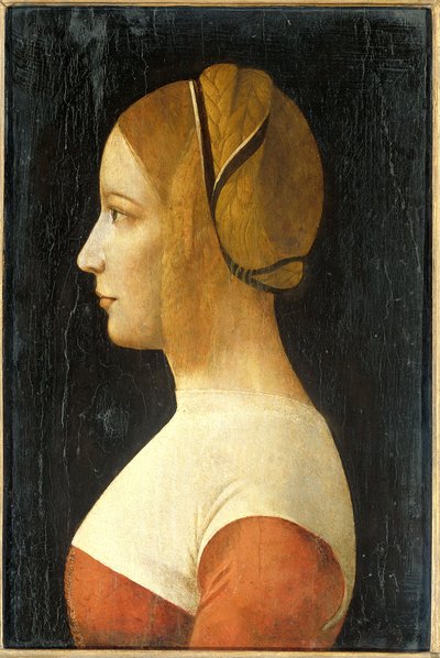 Portrait of a Young Woman in Profile (Ritratto di giovane donna di profilo) by Leonardo da Vinci