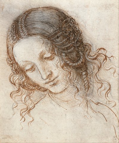 Study of a Horse's Head (Studio di testa di cavallo) by Leonardo da Vinci