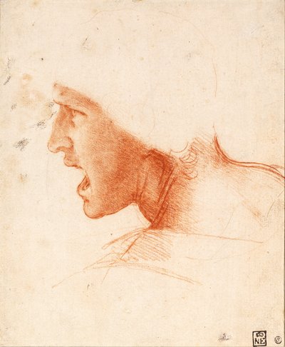 Madonna Litta (Madonna Litta) by Leonardo da Vinci
