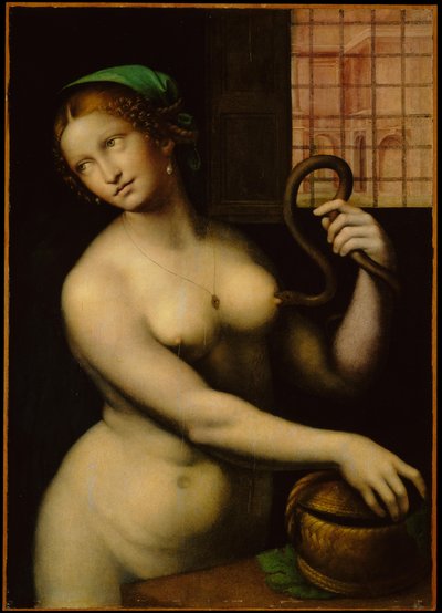 Leda and the Swan (Copy After Leonardo) (Leda e il cigno (copia dopo Leonardo)) by Leonardo da Vinci