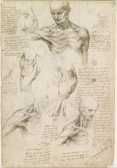St. Roch (Lombard School) (San Rocco (Scuola Lombarda)) by Leonardo da Vinci