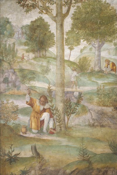 Bacchus by Leonardo da Vinci